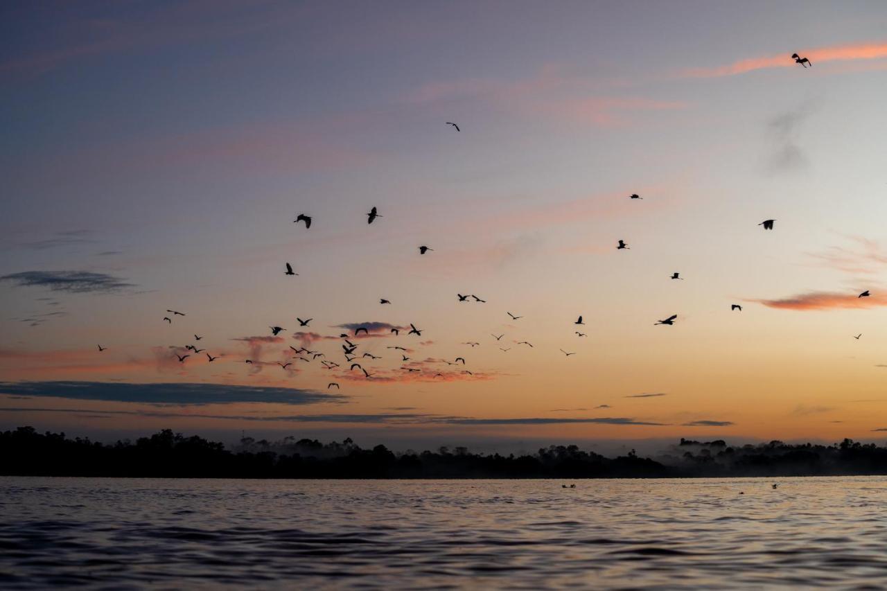 Amak Iquitos Ecolodge Santa Clara エクステリア 写真