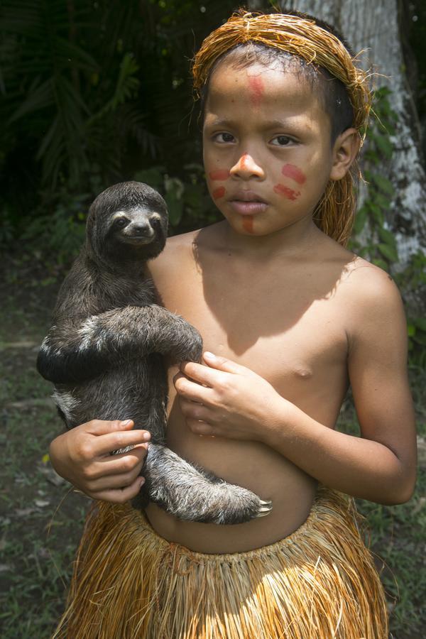 Amak Iquitos Ecolodge Santa Clara エクステリア 写真